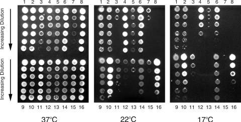 FIG. 5.