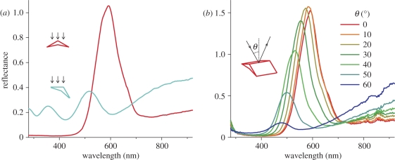 Figure 5.