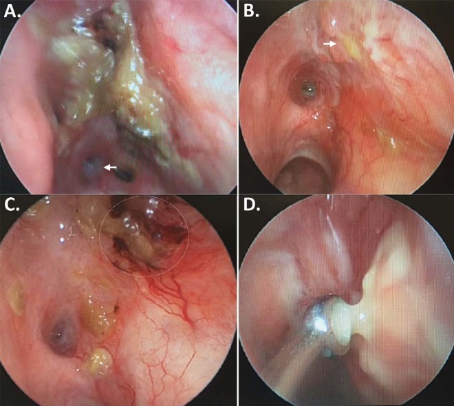 Figure 3.