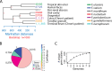 FIG 3