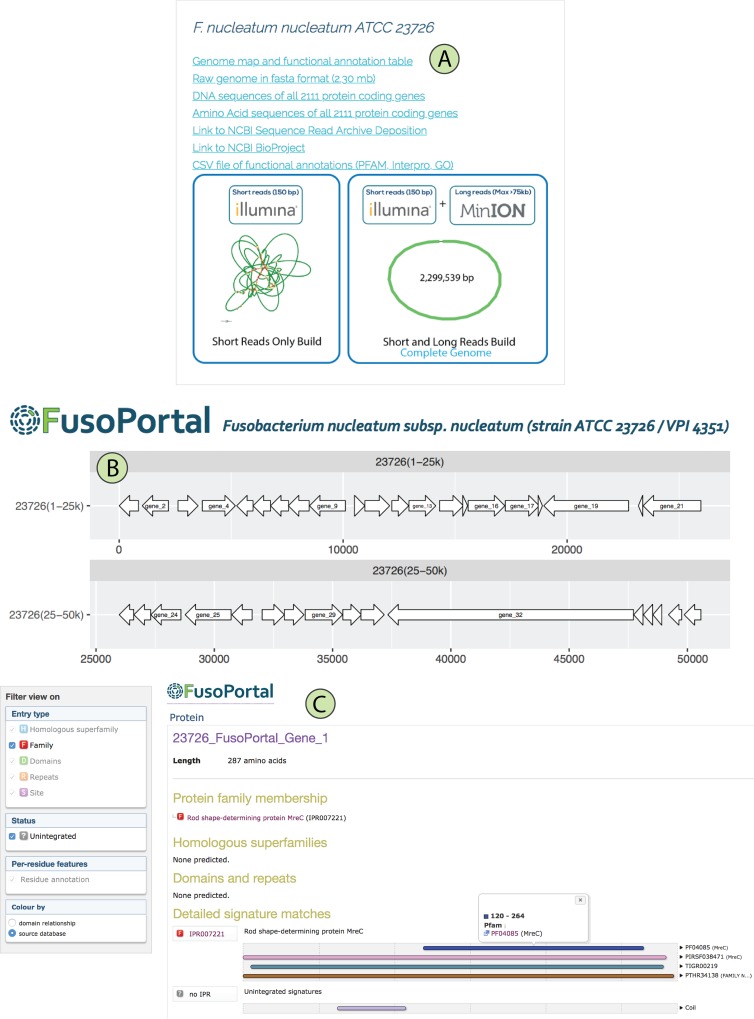 FIG 4 