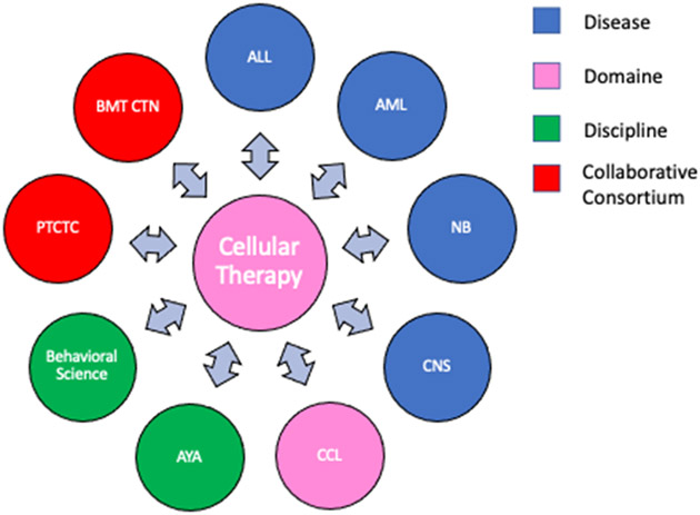 Figure 1: