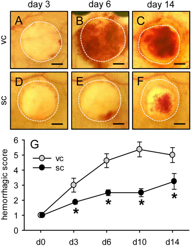 Fig. 6