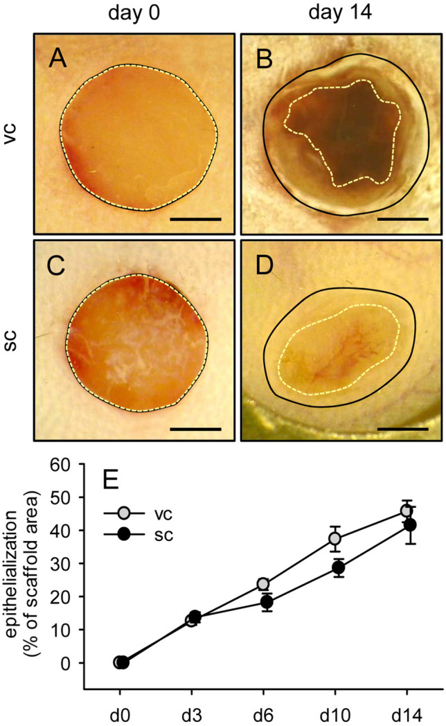 Fig. 8