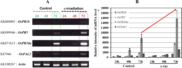 Figure 3.