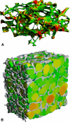 Fig. 1A–B