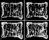 Fig. 3A–D