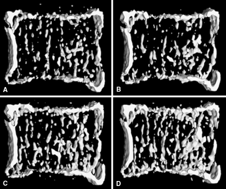 Fig. 3A–D