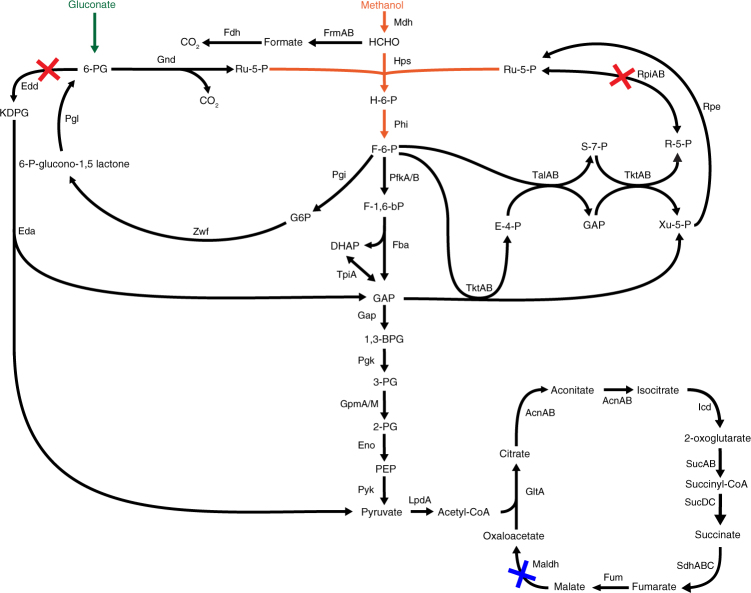 Fig. 2