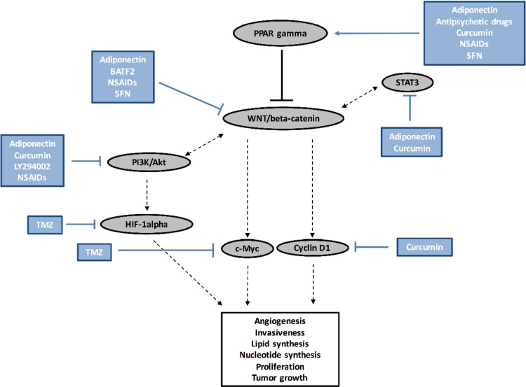 Fig. 3