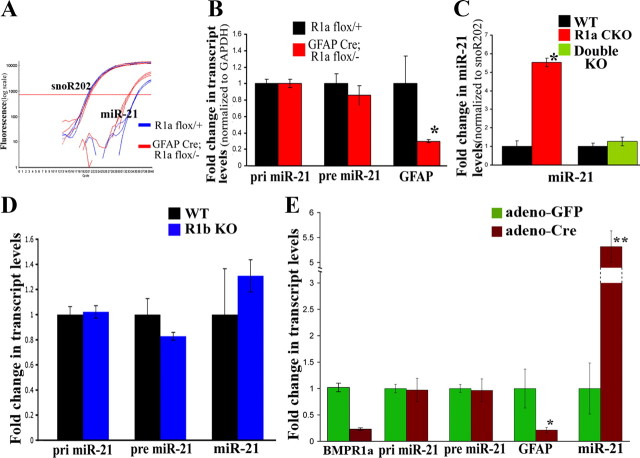 Figure 11.