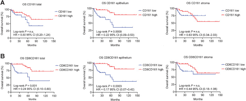 Figure 6. The prognostic significance of CD161+ CTLs in OPSCC. A, Kaplan–Meier survival plots showing the OS of the validation cohort between CD161 low (n = 39) and CD161 high (n = 39) according to the median cell density of CD161 (total 47 cells/mm2, intraepithelial 19 cells/mm2, stromal 23 cells/mm2) or (B) Kaplan–Meier survival plots between CD8+CD161+ low (n = 39) and CD8+CD161+ high (n = 39) according to the median cell density of CTLs with coexpression of CD8 and CD161 (total 16 cells/mm2, intraepithelial 5.5 cells/mm2 or stromal 8 cells/mm2). The HR with 95% CI and log-rank P value are given. n.s.: no statistical significance.