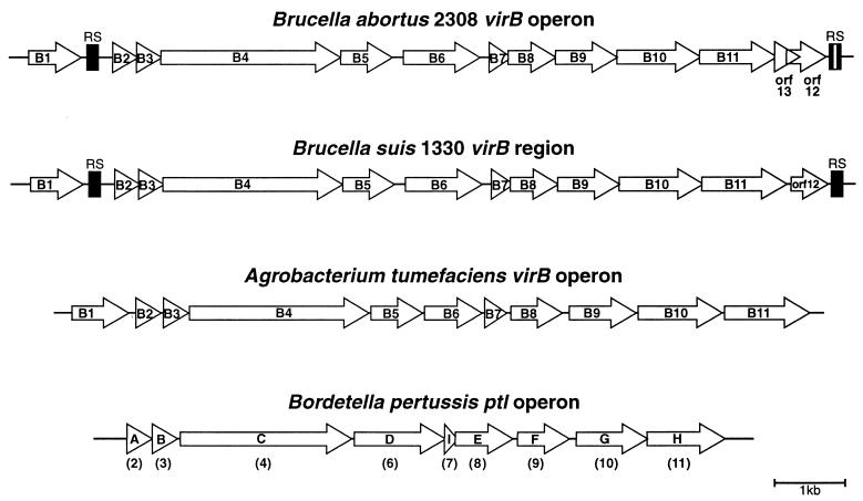 FIG. 1