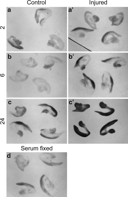 FIG. 6.