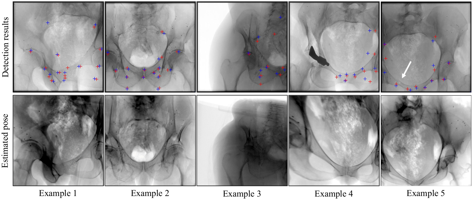 Fig. 9