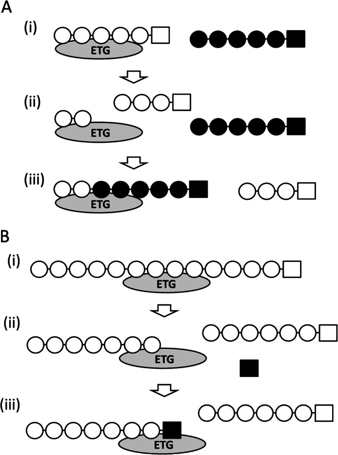 FIGURE 8.