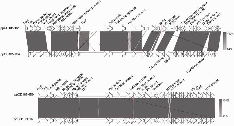 Fig. 3.—