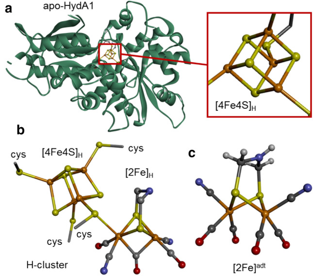 Fig. 1