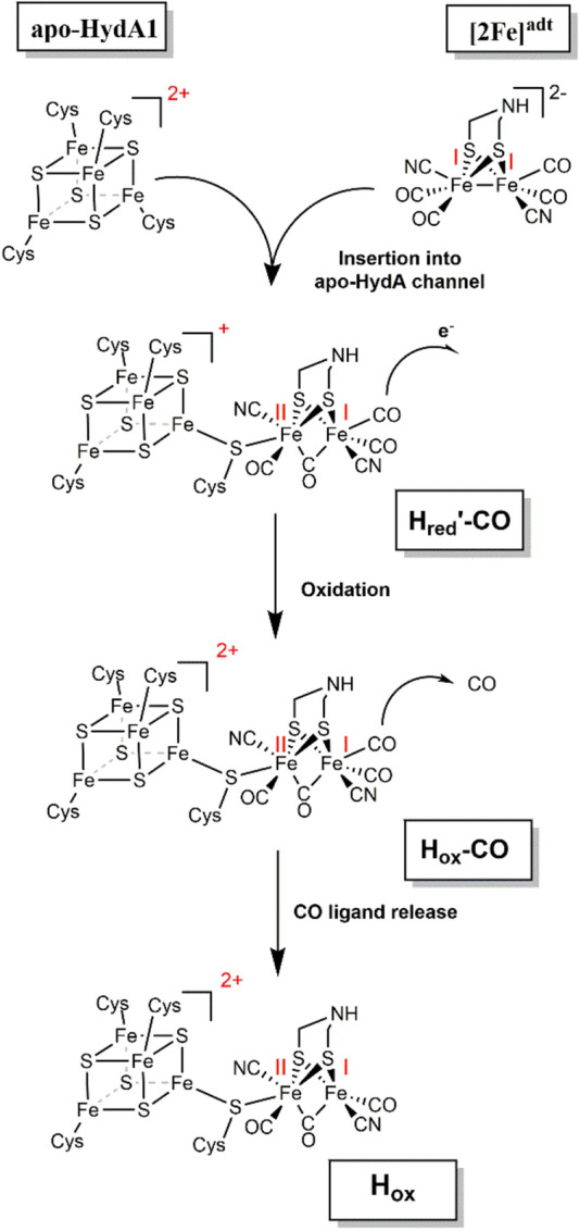 Scheme 1