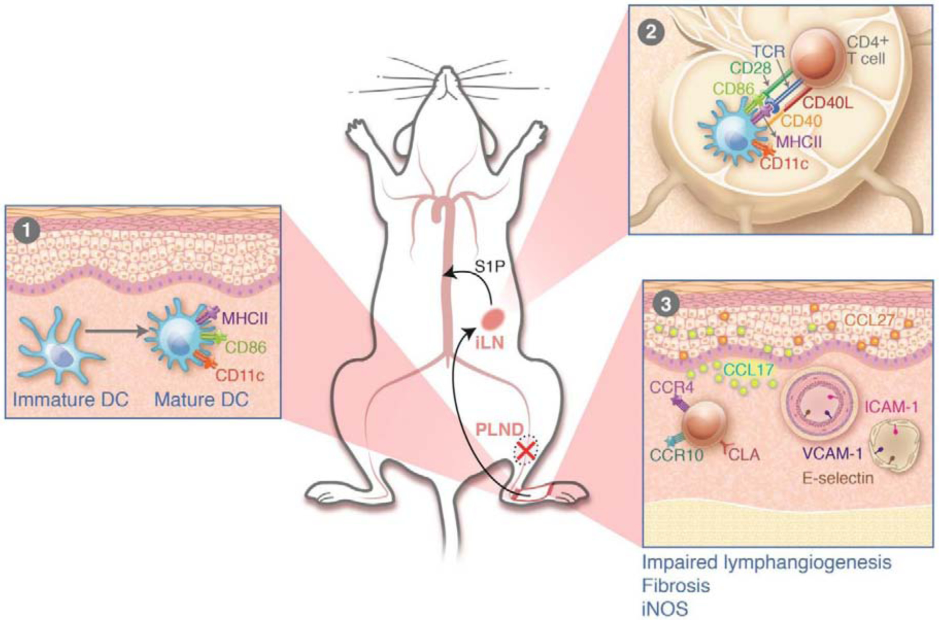 Figure 5: