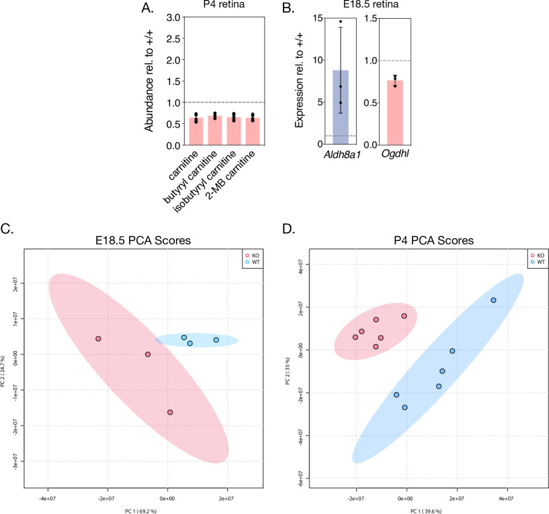 Figure 5—figure supplement 1.