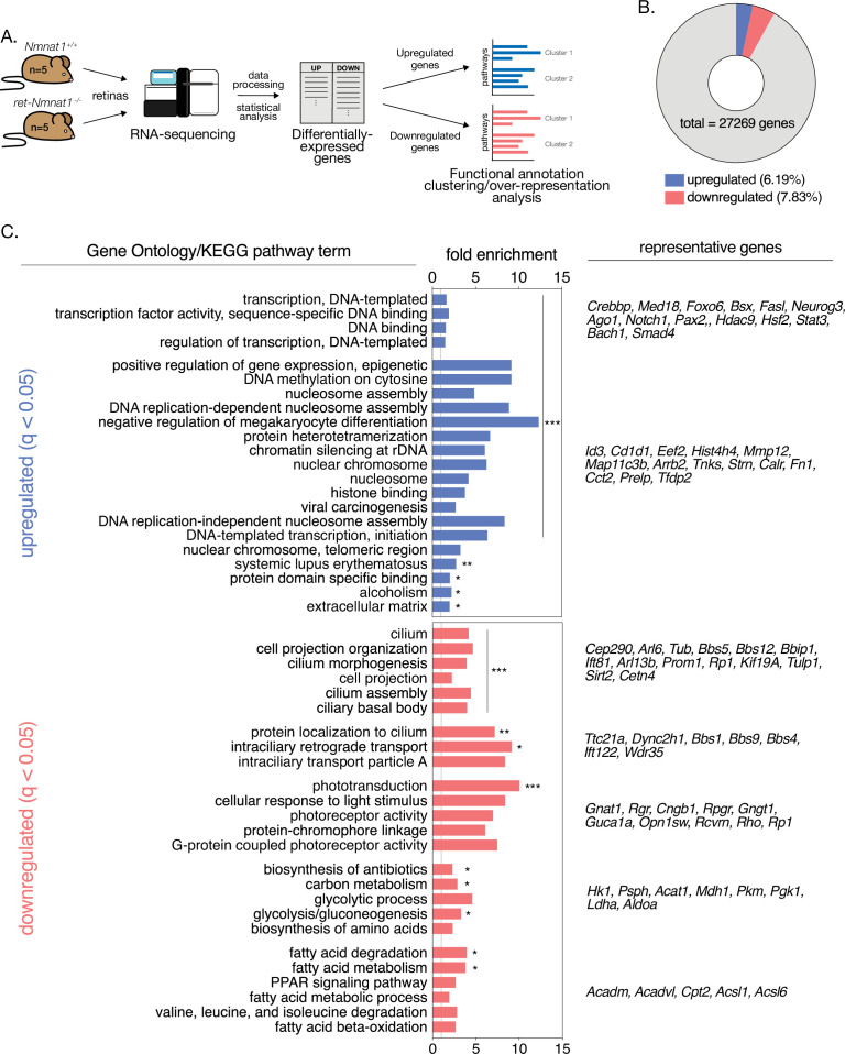 Figure 3—figure supplement 3.