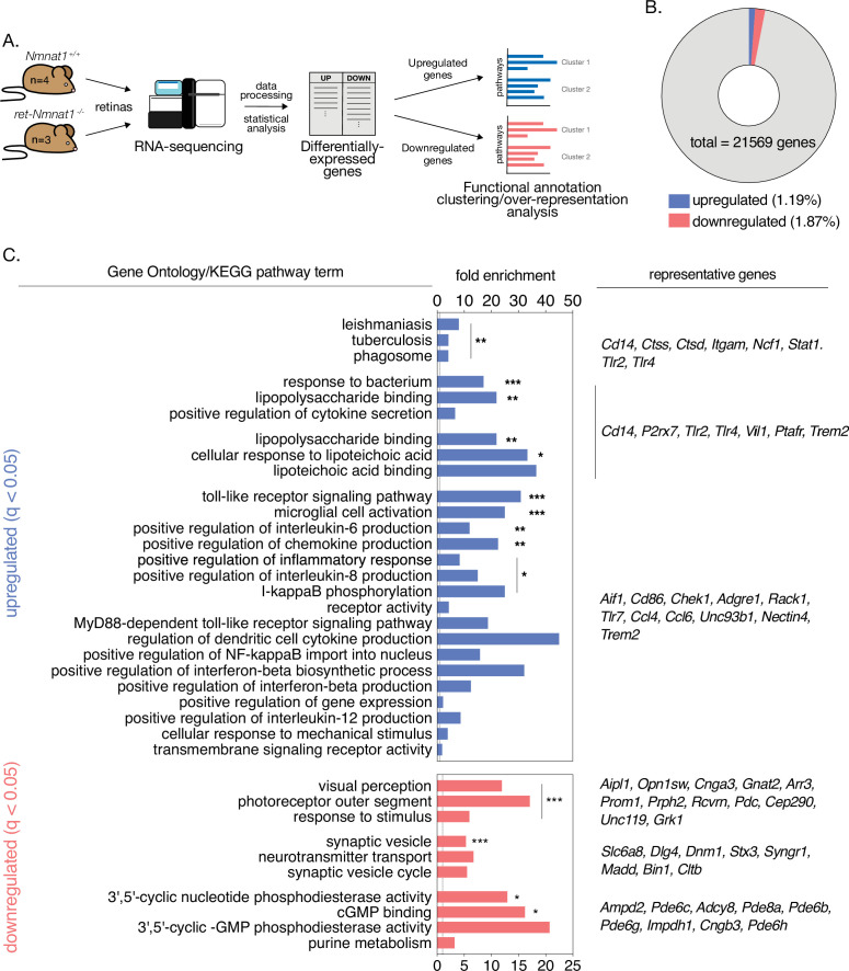 Figure 3—figure supplement 2.