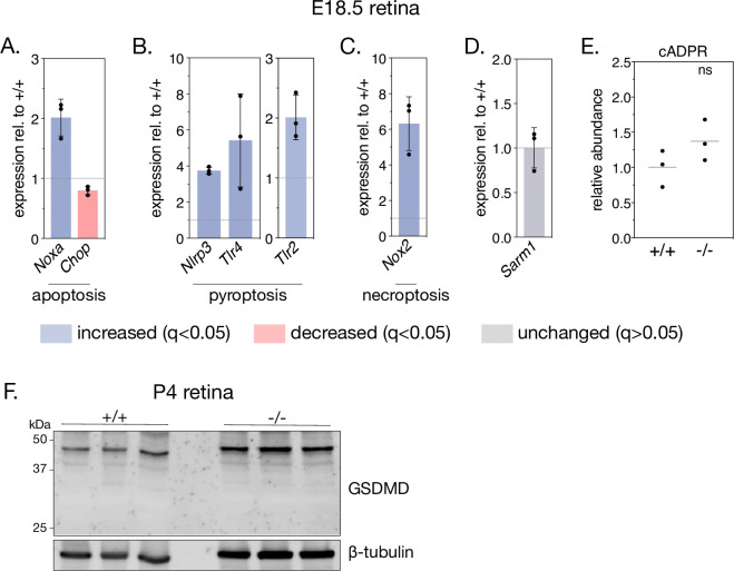 Figure 4—figure supplement 1.