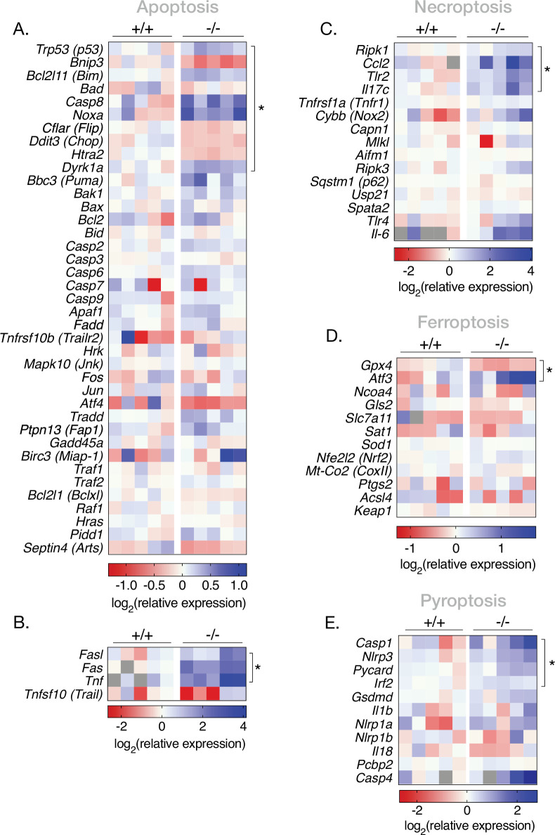 Figure 4—figure supplement 2.