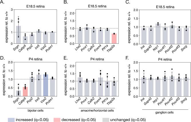 Figure 3—figure supplement 4.