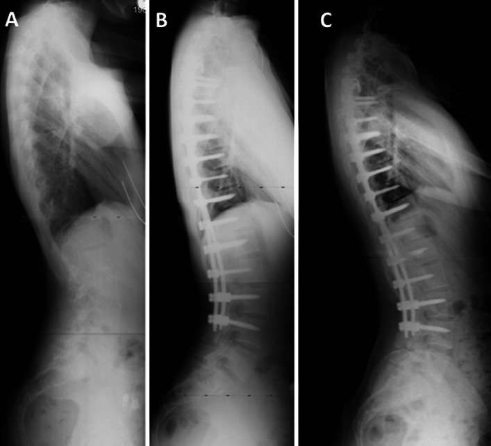 Fig. 2