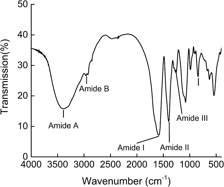 Fig. 4