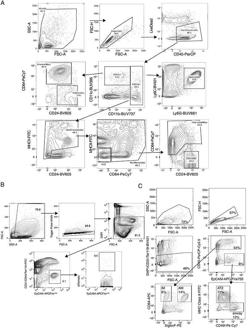 Extended Data Figure 6