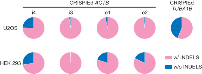 Figure 2—figure supplement 2.