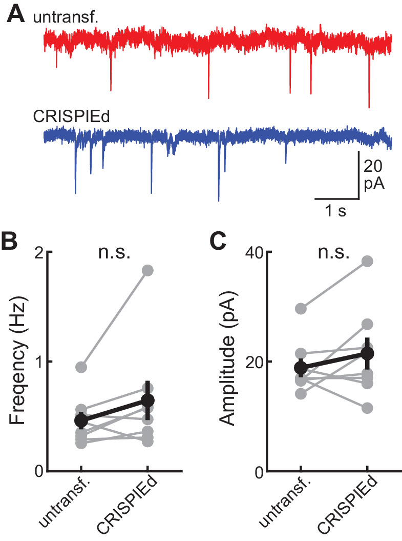 Figure 5—figure supplement 2.