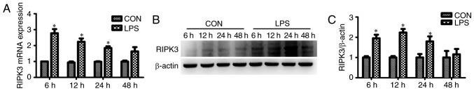 Figure 3.