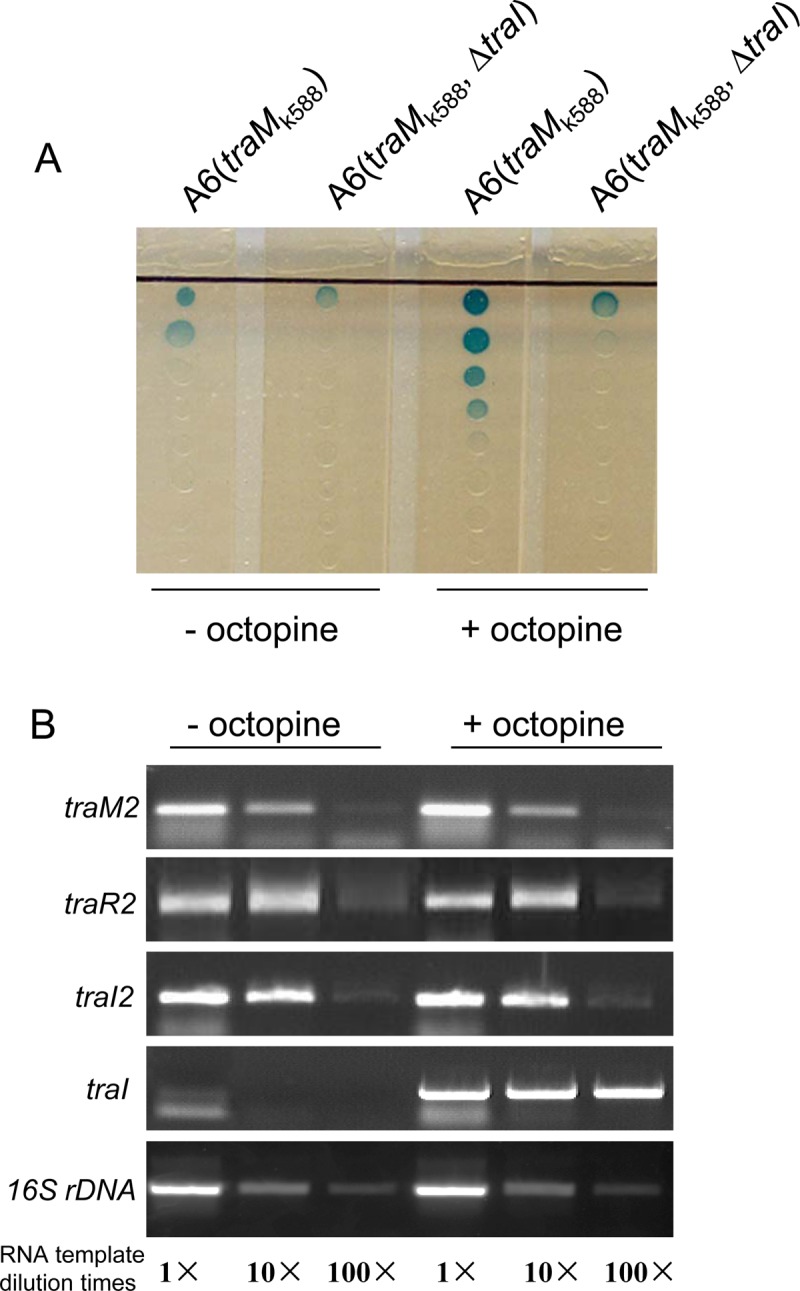 FIG 5