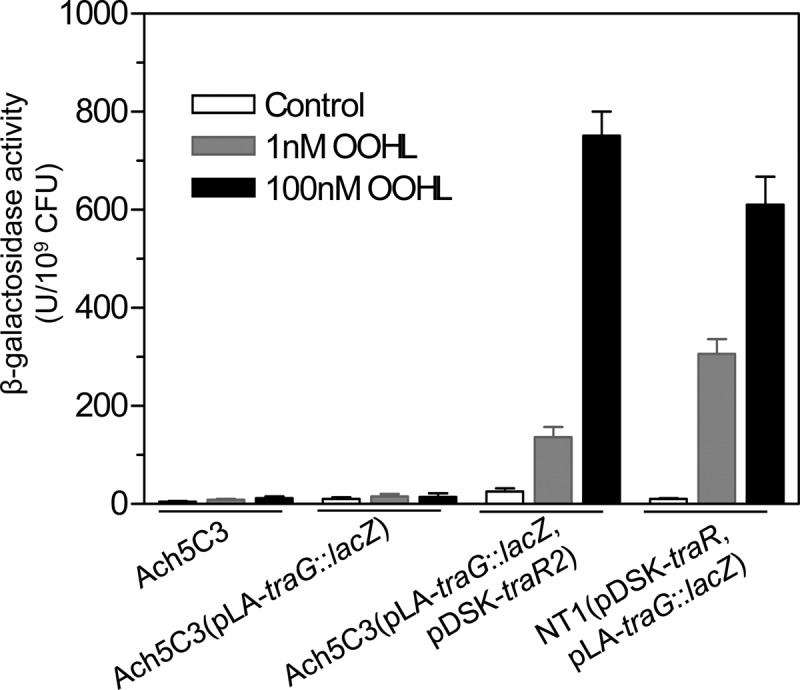 FIG 2