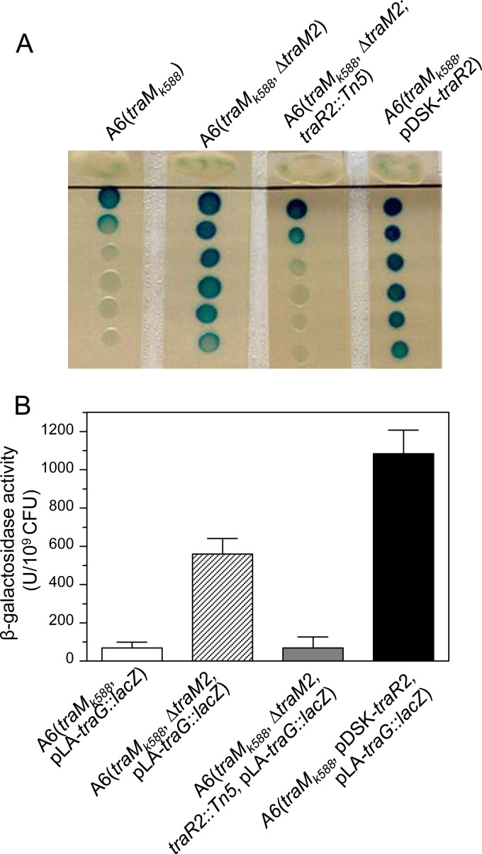 FIG 1