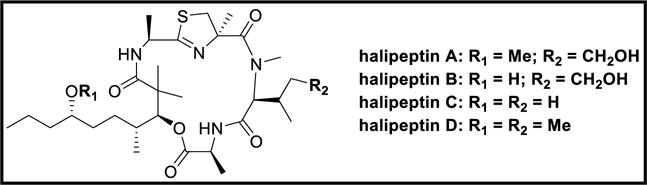 Figure 21