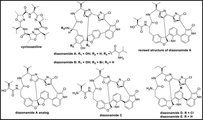 Figure 123