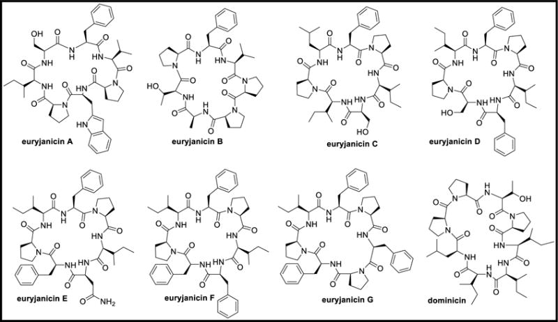 Figure 31