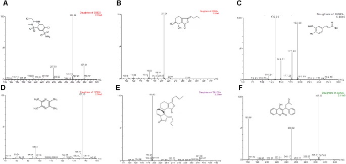 FIGURE 2