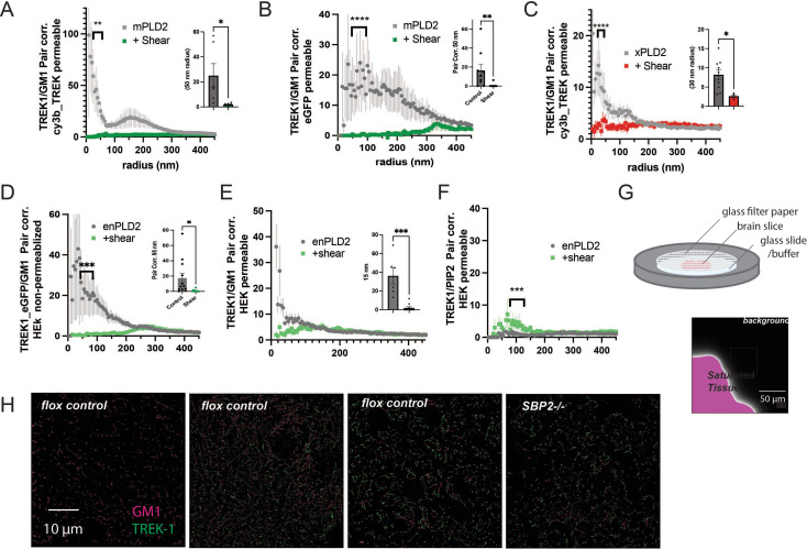 Figure 2—figure supplement 2.