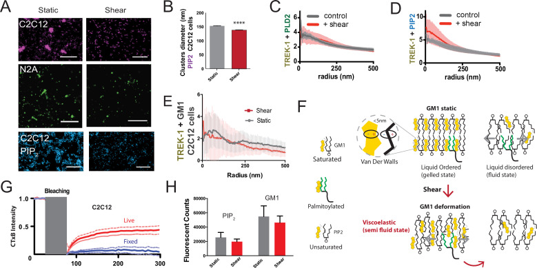 Figure 3—figure supplement 1.