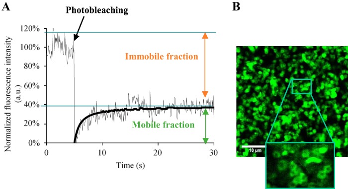 FIG 2