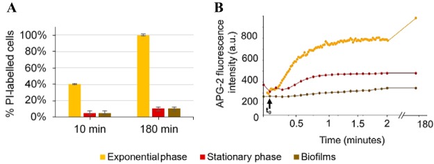 FIG 4