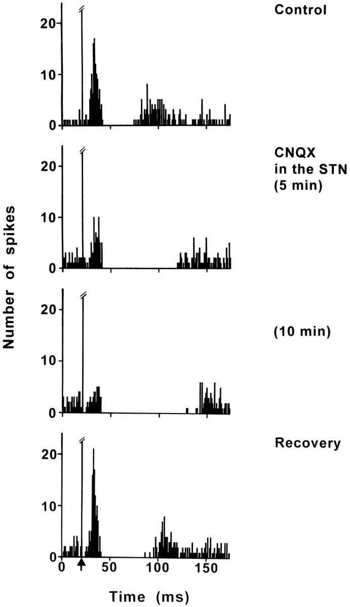 Fig. 6.