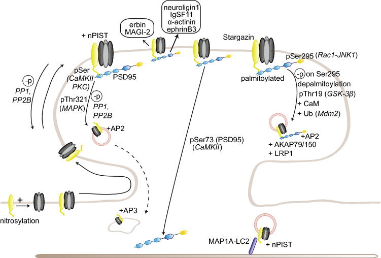 Fig. 2