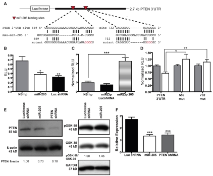 Fig 4.